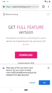 Boomerang Download File